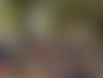 Year 3 Explores Local Wisdom at Baan Yaa Suan Bpuu