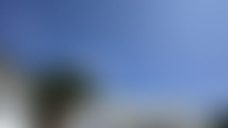 World Book Day Celebration – Highlight Video