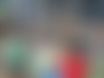 Our EY Children Explore the School Farm