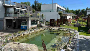 Schwimmteich - Recherswil