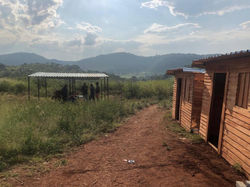 Pachedu Project