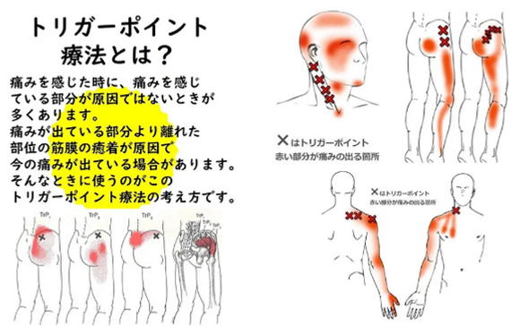 トリ