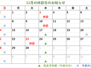 11月の休診日のお知らせ