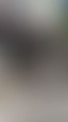 目指せ！海技士免許！