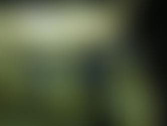 遠洋延縄まぐろ漁船② ~揚縄~