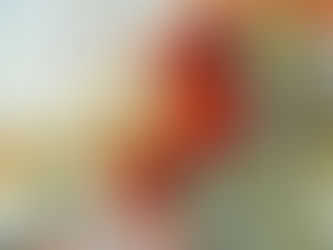 Wildkräuter-Impulse: Indigene Kosmovision und kleines Immergrün