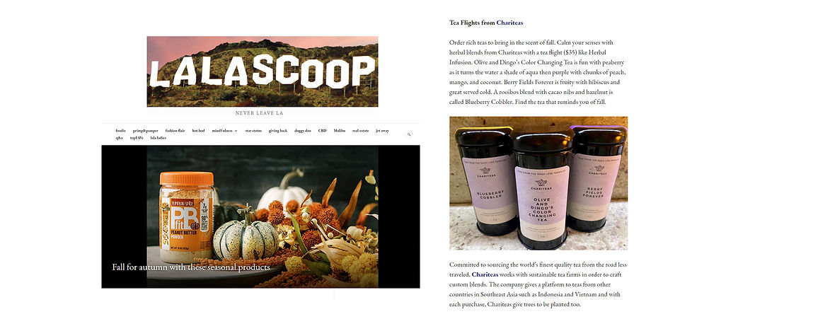 mama the fox article