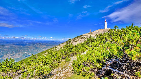 ventoux_randonnee_04.jpg