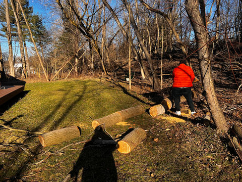 Emergency Tree Removal in Montgomery