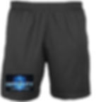 INTENSITY STAGE SCHOOL Boys Shorts