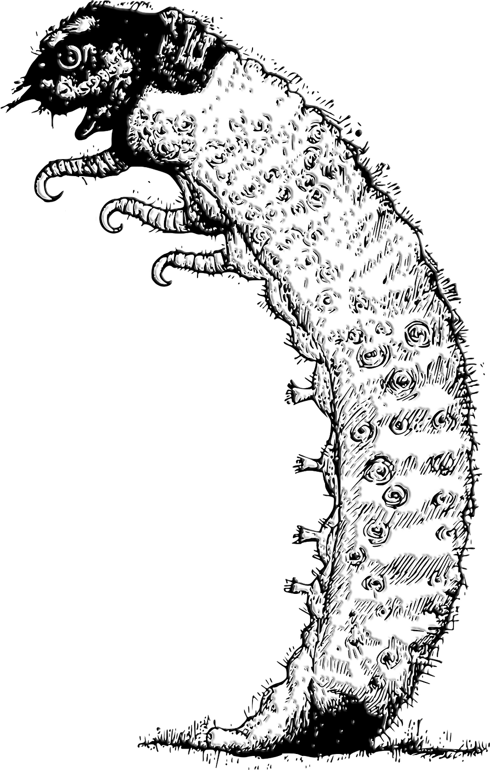L'immagine contiene un MEGAPEDE, una razza aliena tratta dal libro omonimo: Megapede - Mondi di Cera. Si tratta di un librogame, o book game, con meccaniche da gioco da tavolo di tipo wargame e di strategia. In questo scenario di fantascienza e horror in stile Lovecraft, da un singolo giocatore solitario e fino a quattro vengono schierati su delle mappe come se fossero delle "skirmish", quindi entrano nel vivo del dungeon crawler e si augurano che la sopravvivenza e lo stealth siano al loro fianco per tutto il viaggio.