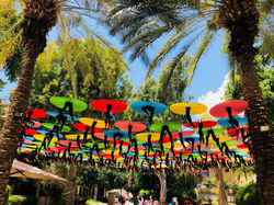 Tel Aviv visit-umbrellas