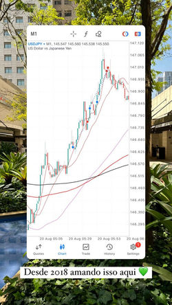 USDJPY - 2024