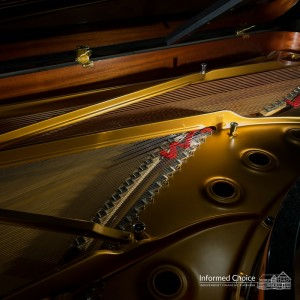 Harp recital at Cranleigh Arts Centre