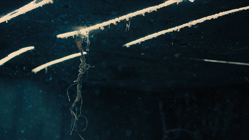 Schermata 2024-03-05 alle 11.36.13.png