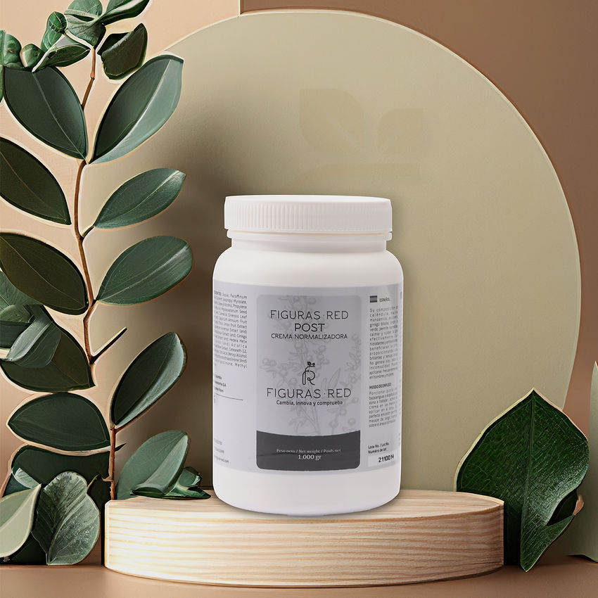 Mesa de trabajo 5Feed 4.jpg