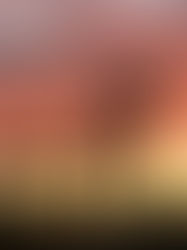 Svoboda se začne, ko ... si dovoliš biti ti