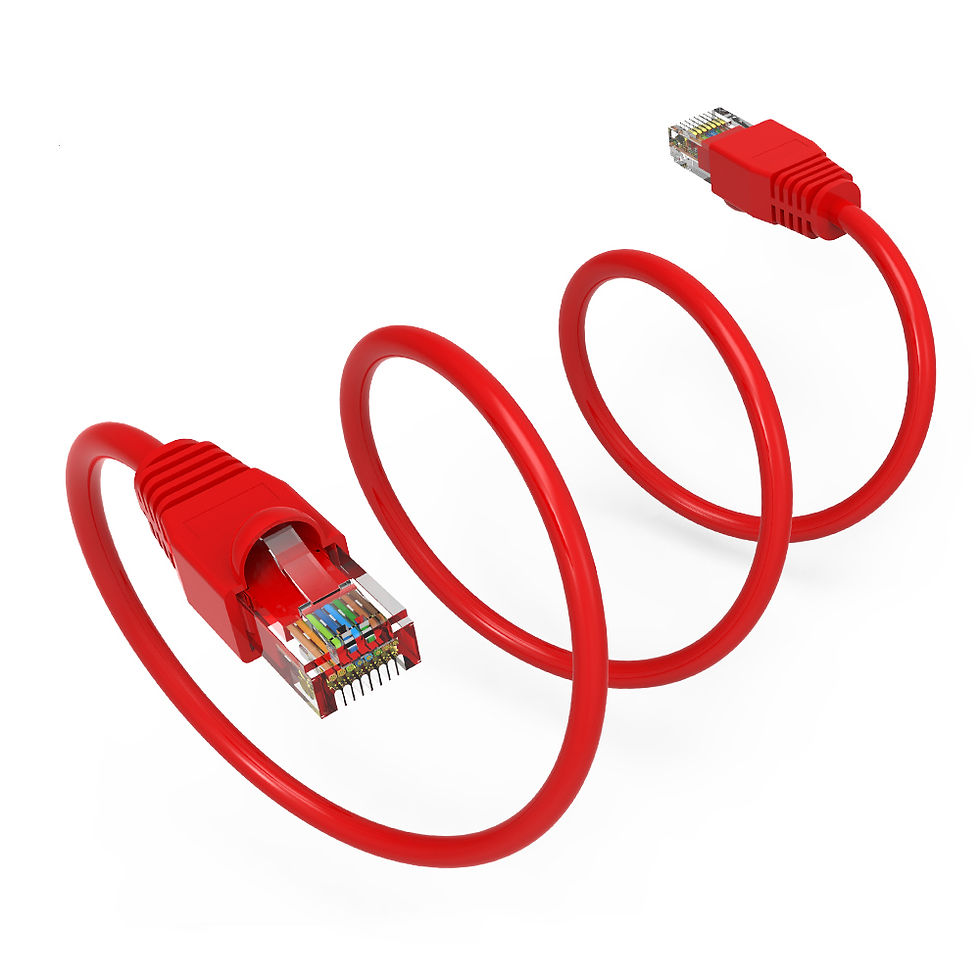 縮圖：75Ft Cat6A UTP Booted Patch Cable