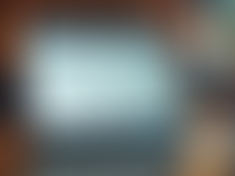 Understanding the Fundamentals of Privacy Policies