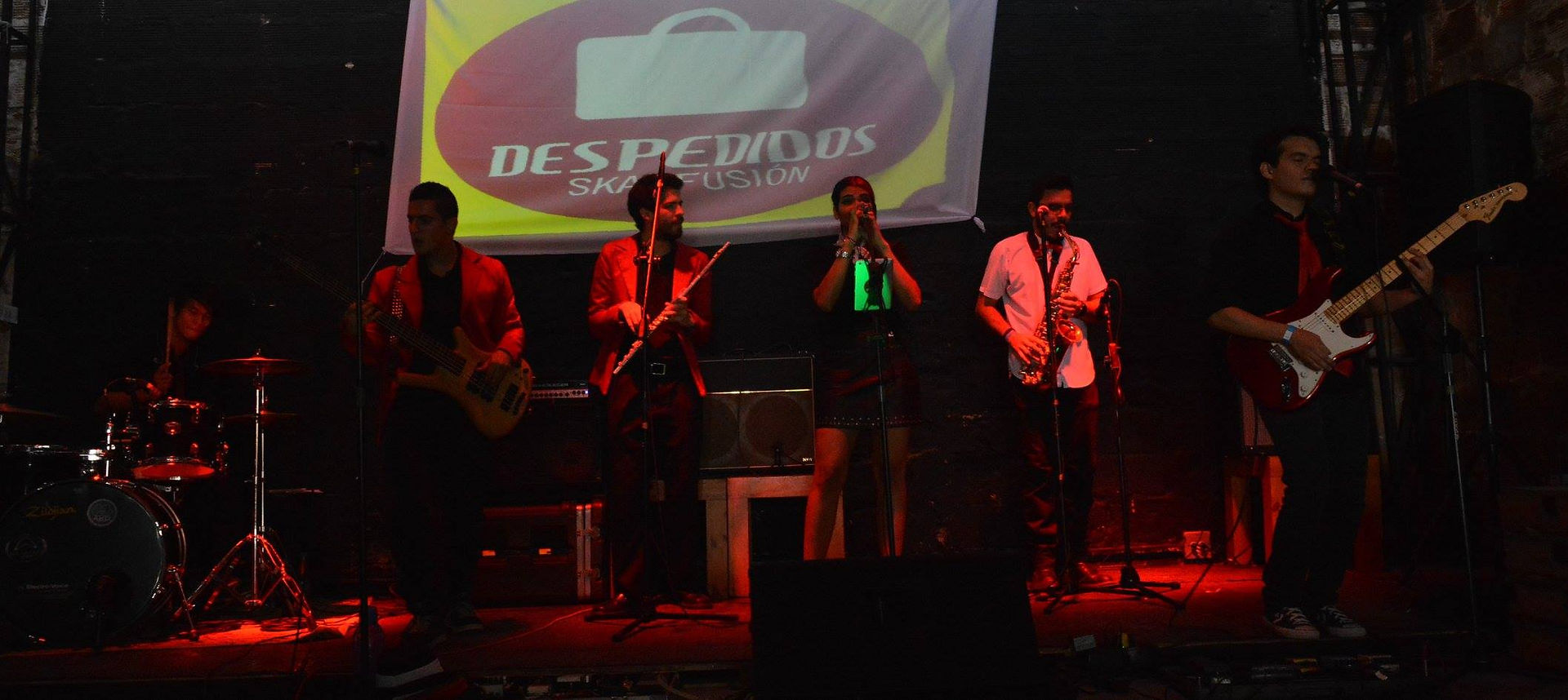 Despedidos