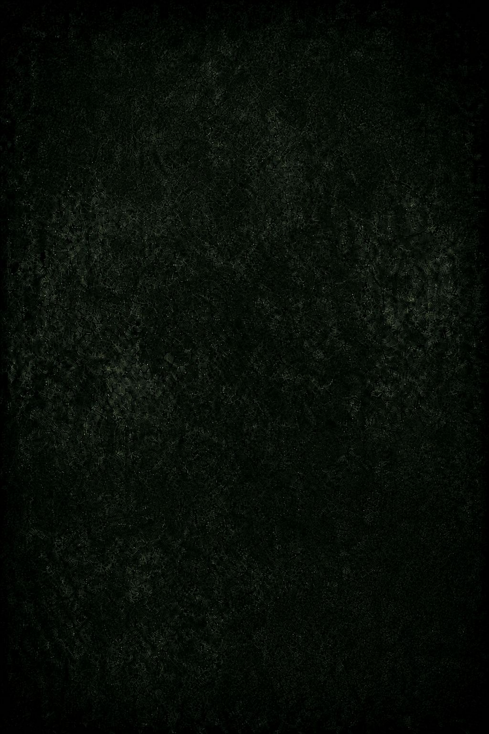 plainbackgroundflyer.png