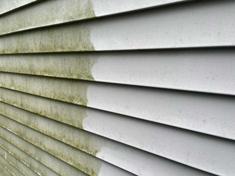 Mold causing odors on home exterior.