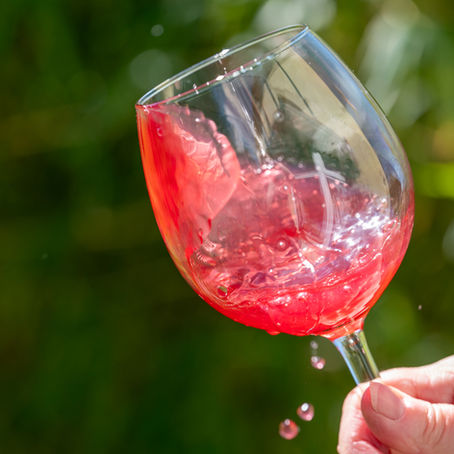 Can Tibico Help with Diverticulitis? The Gut-Healing Power of Fermented Whole Fruit