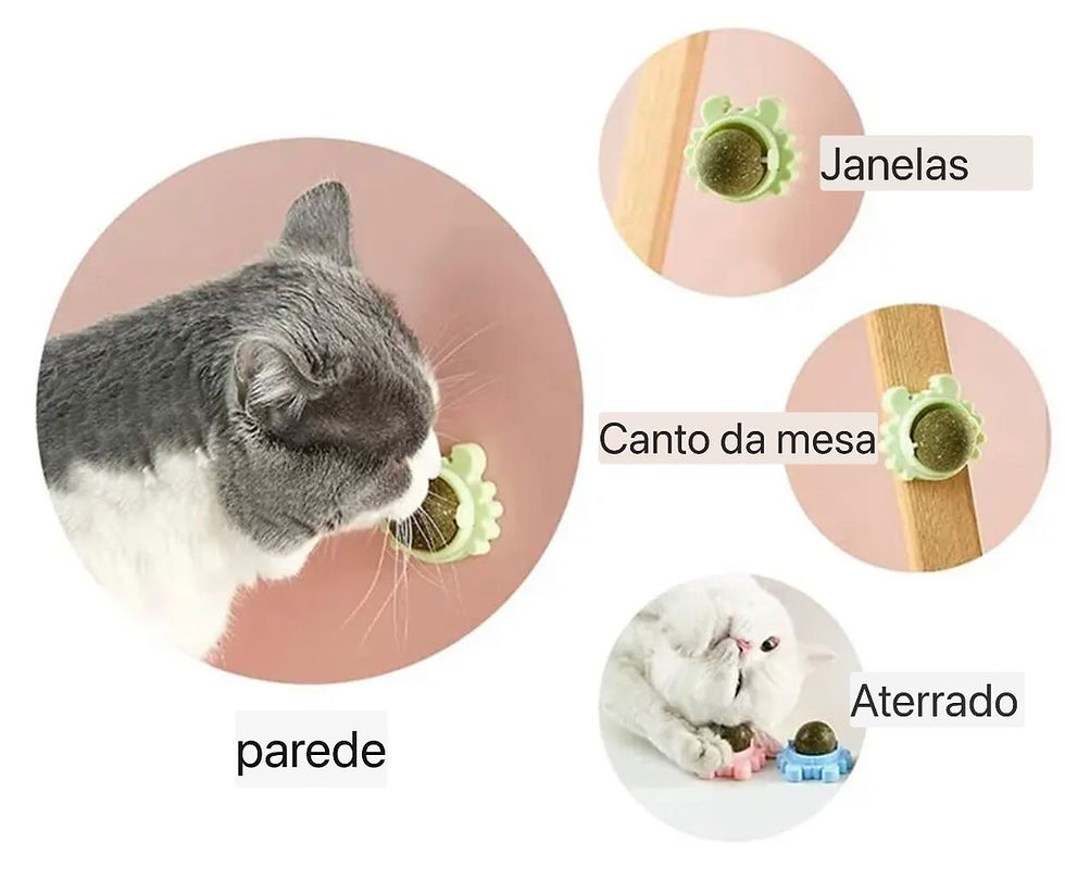 Miniatura: Bolinha Catnip Giratória Melhora a Beleza do Pet