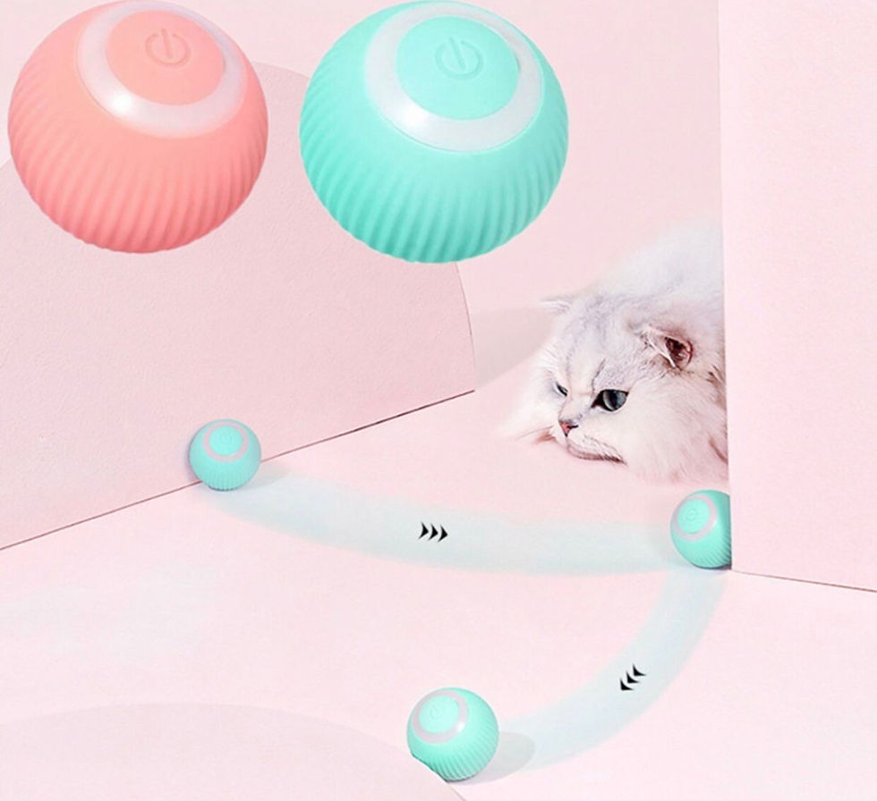 Miniatura: Smart Ball Cat Se Move Sozinha, Bolinha de Brinquedo Interativa