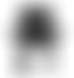 Char-Griller the Traditional Charcoal Grill and Smoker