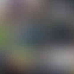 Weber 18" Smokey Mountain Cooker