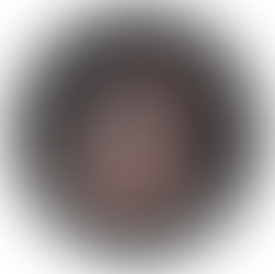 Weber 18" Smokey Mountain Cooker