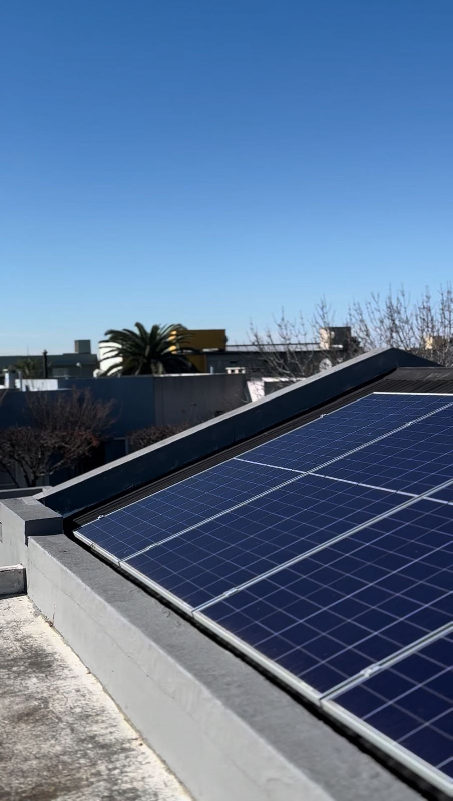 WhatsApp Image 2025-08-07 at 11.14.08.jpeg