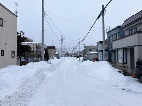 冬の雪