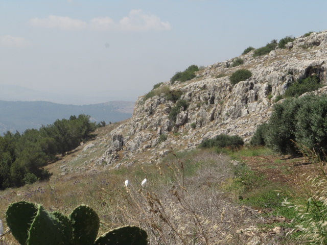 "מצפון לגבעת המורה בעמק"