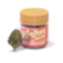 GUMDROP SHERB