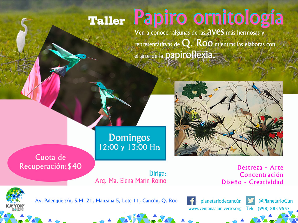 Papiro Ornitología