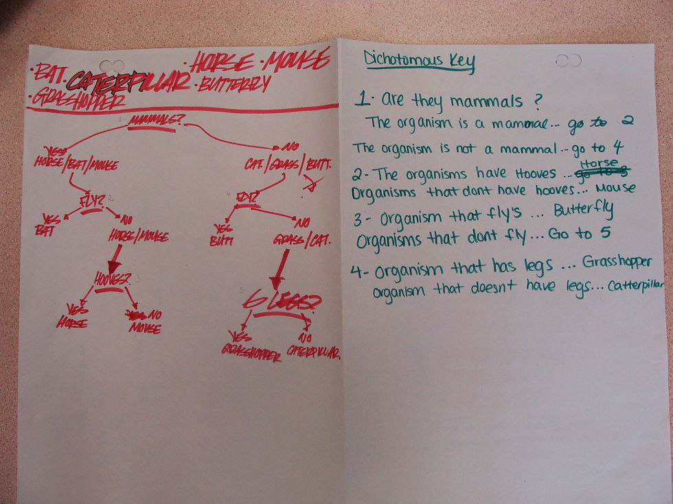 Dichotomous Key Cooperative - Bio 11