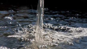 The Detox Project - Water and Heavy Metals