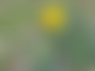 Mother’s Day is coming!