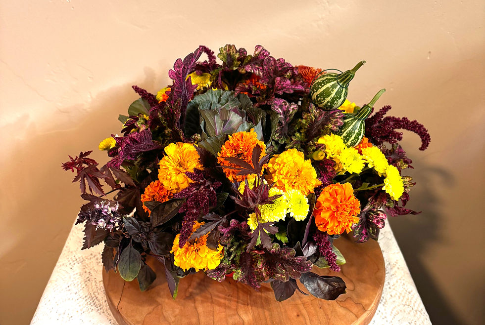 From our Field to Your Table