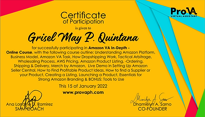 Amazon Certificate ProVA.png
