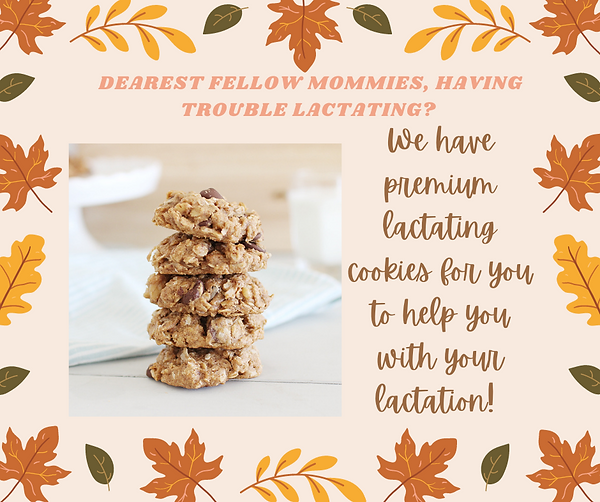 BreastFeeding Cookies.png