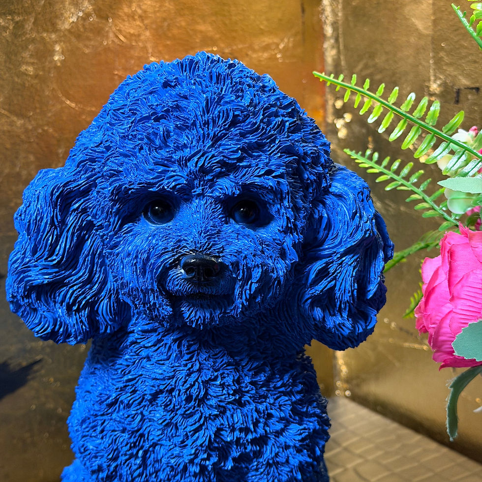 Thumbnail: Blue Purple Pink or Yellow Poodle Ornament 28cm
