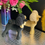 Thumbnail: Black and Gold or Gold Posh Poodle Ornament 18cm 