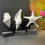 Thumbnail: Polystone Starfish & Shells on Wooden base each