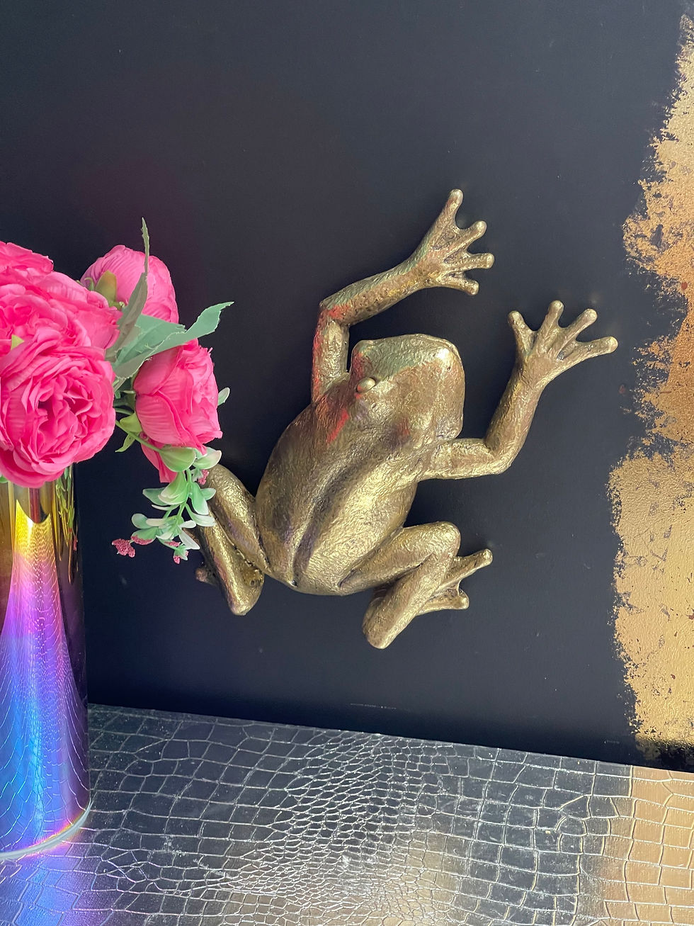 Thumbnail: 25cm Gold Frog Wall Decoration Ornament 