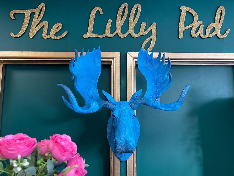 Thumbnail: Large Vibrant Blue Moose head Wall Hanging 80cm
