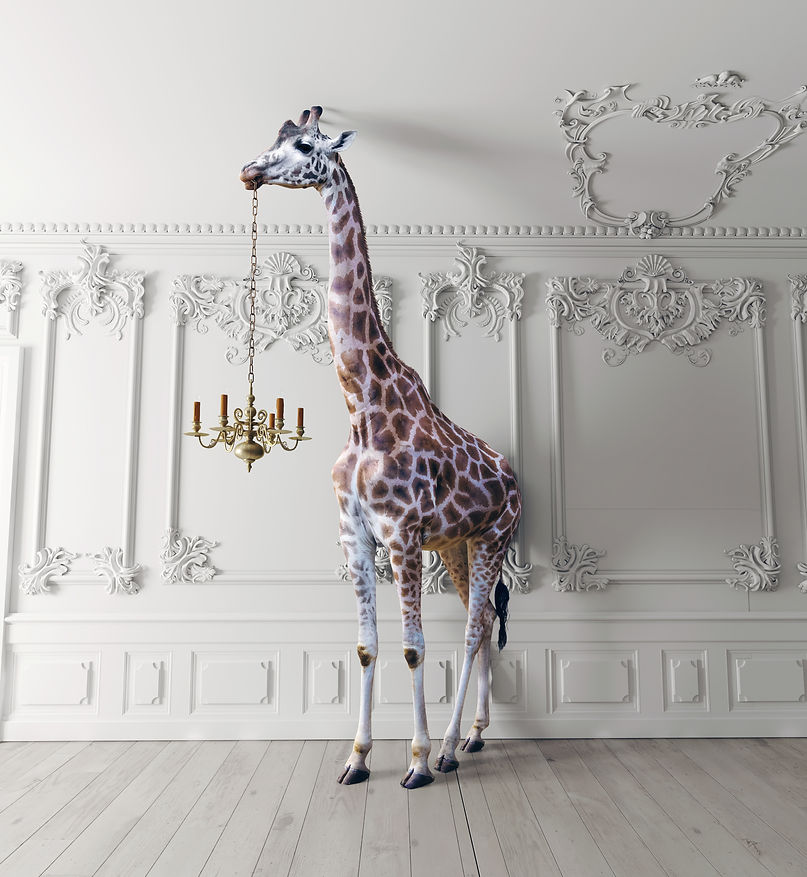 the giraffe hold the chandelier in the luxury decorated interior. photo and media mixed