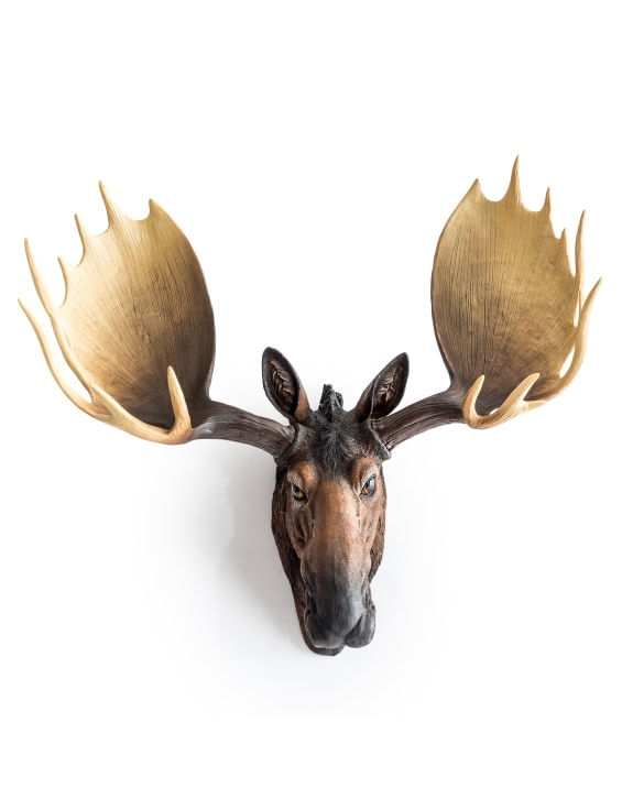Thumbnail: Fabulous Large Brown Moose Wall Head 65cm